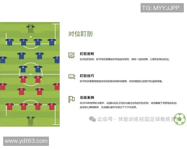 杭州足球队的战术风格与赛季表现深度解析 杭州足球队的战术风格与赛季表现深度解析