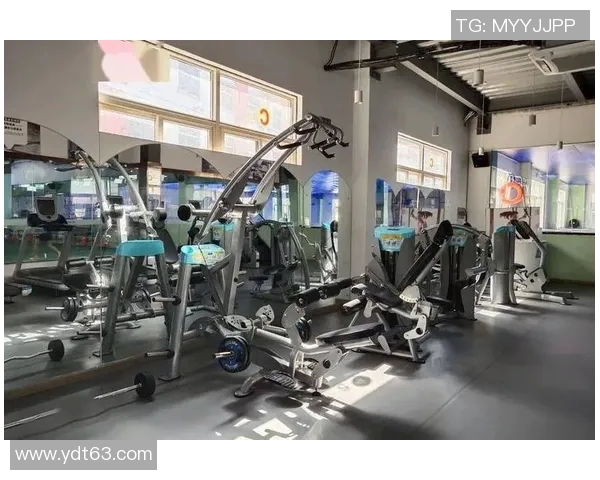 对话黄强：回顾乒乓球生涯的辉煌与挑战与未来展望