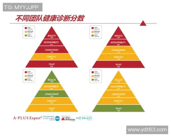 成都排球队挑战赛点评：节奏掌控与团队协作的精彩表现分析