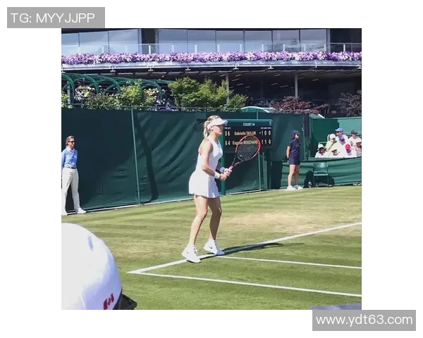 西安网球队速度之美探秘：技术与激情的完美结合