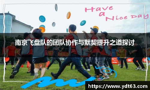 南京飞盘队的团队协作与默契提升之道探讨