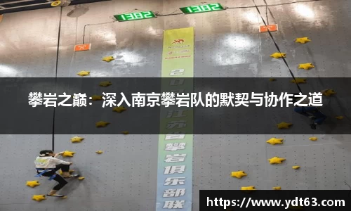 攀岩之巅：深入南京攀岩队的默契与协作之道