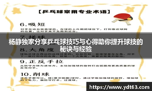 杨静独家分享乒乓球技巧与心得助你提升球技的秘诀与经验