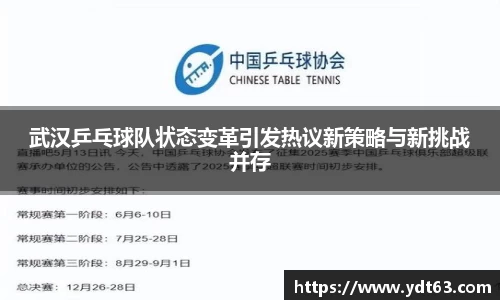 武汉乒乓球队状态变革引发热议新策略与新挑战并存