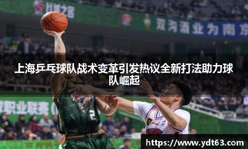 上海乒乓球队战术变革引发热议全新打法助力球队崛起
