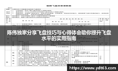 陈伟独家分享飞盘技巧与心得体会助你提升飞盘水平的实用指南