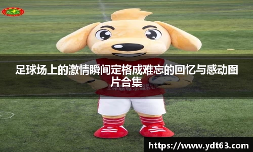 足球场上的激情瞬间定格成难忘的回忆与感动图片合集